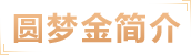 圆梦金简介
